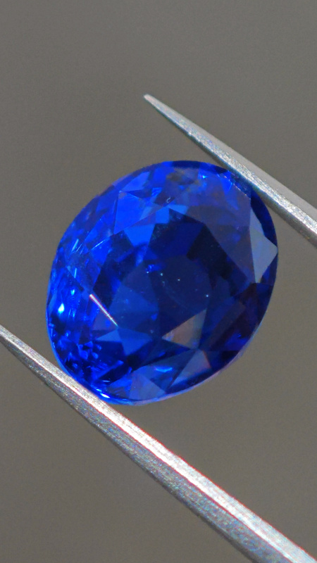 INTERNATIONAL PAVILION