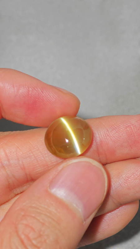 INTERNATIONAL PAVILION