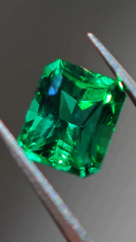 INTERNATIONAL PAVILION