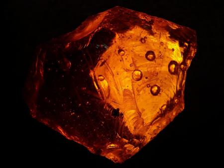 INTERNATIONAL PAVILION